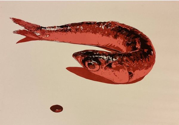 Zeynep Baloğlu | Dönüş