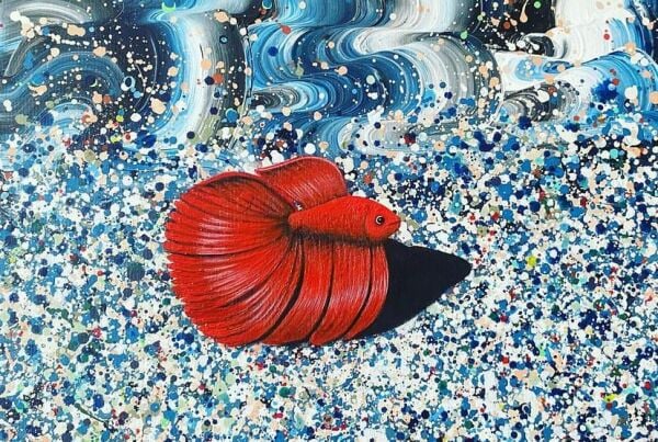 Ceyda Hüseyinoğlu | Kırmızı Betta Fish