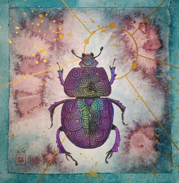Dilan Gitmez | Insecta