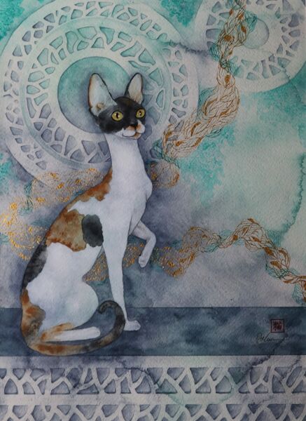 Dilan Gitmez | Cat