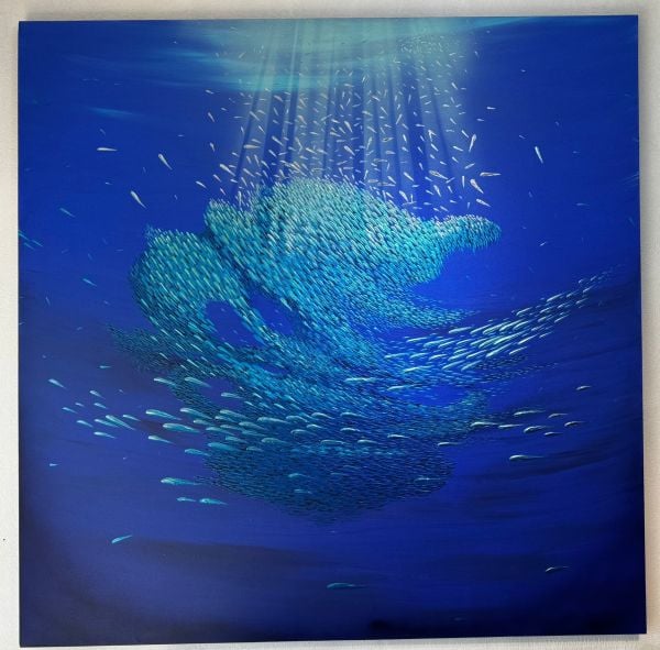 Tamer Şahinoğlu | Hope