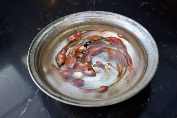 Haşime Altaylı | Döngü