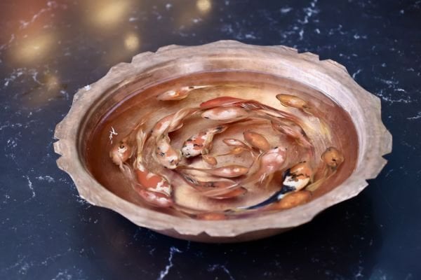 Haşime Altaylı | Döngü
