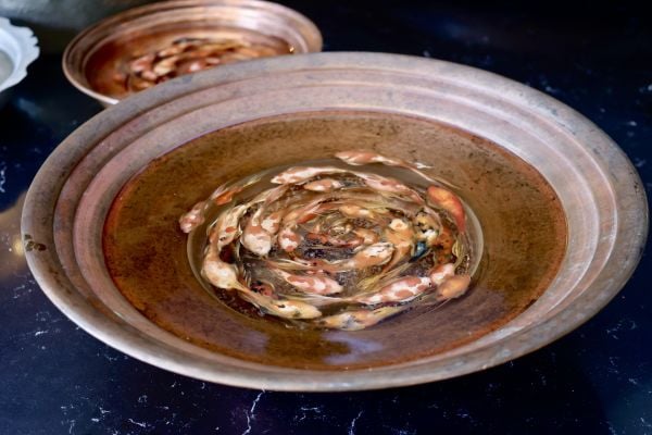 Haşime Altaylı | Döngü