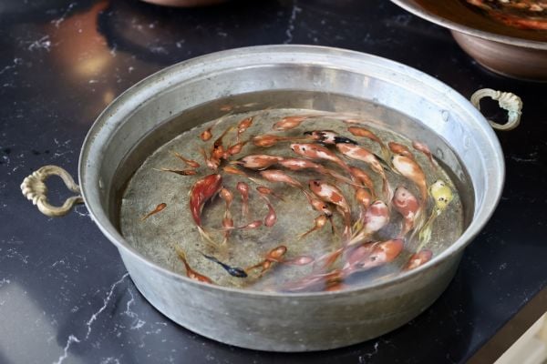 Haşime Altaylı | Akıntıya Karşı