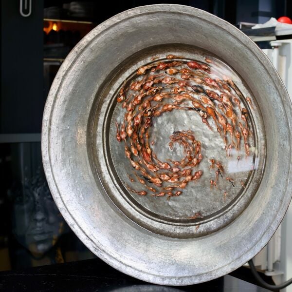 Haşime Altaylı | Döngü