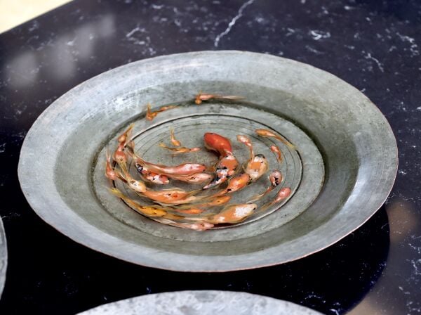 Haşime Altaylı | Untitled