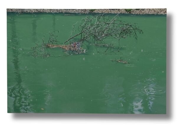 Ahmet Duru | Derin zaman 41,19147° K – 28,98752° D