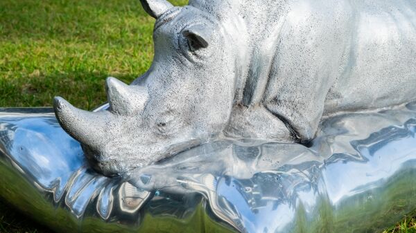 Gönül Nuhoğlu | Dreaming Rhino