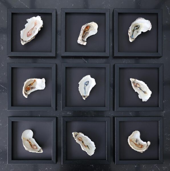 Haşime Altaylı | Denklem