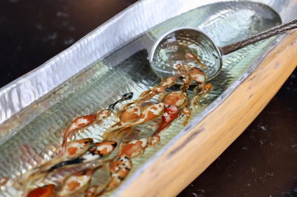 Haşime Altaylı | Akıntı