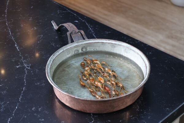 Haşime Altaylı | Akış