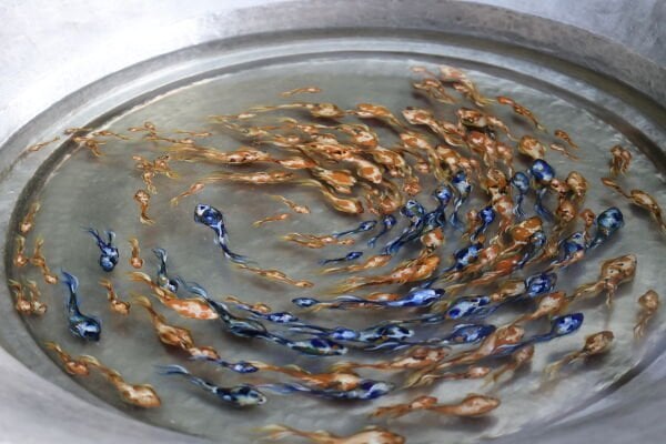 Haşime Altaylı | Denge