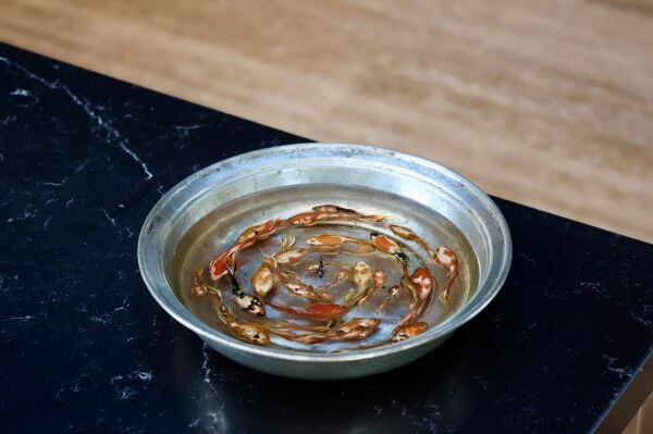 Haşime Altaylı | Döngü