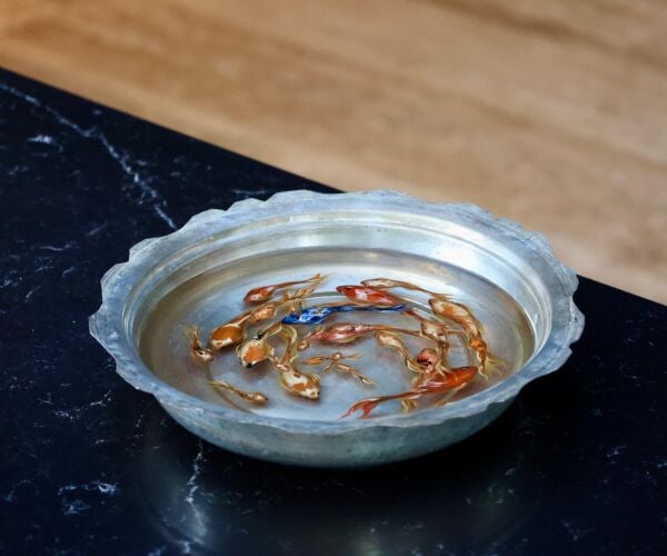 Haşime Altaylı | Döngü